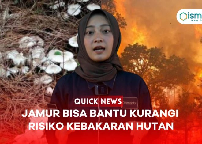 JAMUR BANTU KURANGI RISIKO KEBAKARAN HUTAN