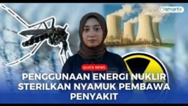 PENGGUNAAN ENERGI NUKLIR DALAM STERILKAN NYAMUK PEMBAWA PENYAKIT