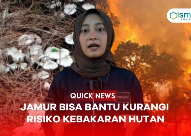 JAMUR BANTU KURANGI RESIKO KEBAKARAN HUTAN