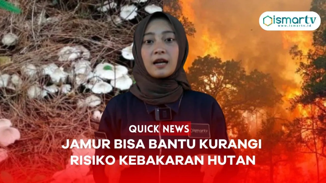 JAMUR BANTU KURANGI RESIKO KEBAKARAN HUTAN