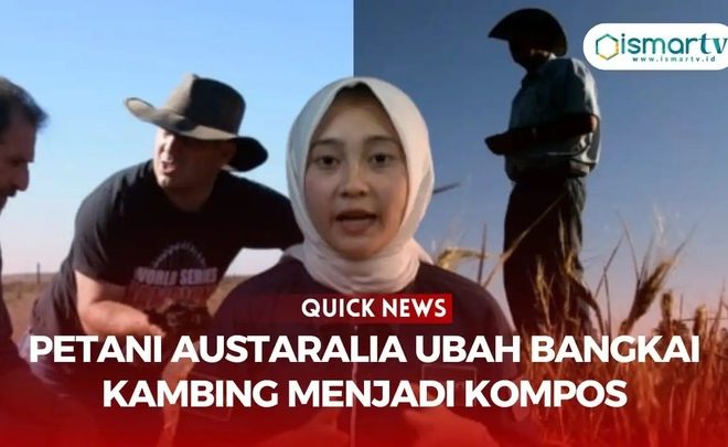 PETANI AUSTRALIA UBAH BANGKAI KAMBING LIAR MENJADI KOMPOS