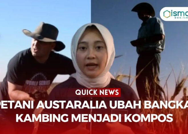 PETANI AUSTRALIA UBAH BANGKAI KAMBING LIAR MENJADI KOMPOS