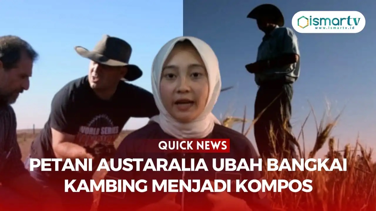 PETANI AUSTRALIA UBAH BANGKAI KAMBING LIAR MENJADI KOMPOS