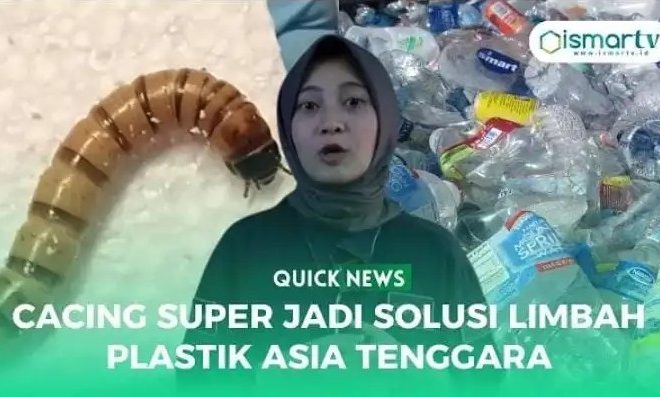 CACING SUPER JADI SOLUSI LIMBAH PLASTIK ASIA TENGGARA