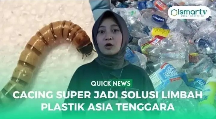 CACING SUPER JADI SOLUSI LIMBAH PLASTIK ASIA TENGGARA