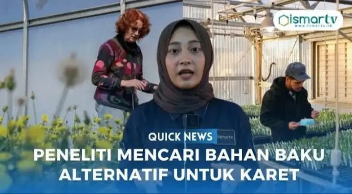 PENELITI MENCARI BAHAN BAKU ALTERNATIF UNTUK KARET