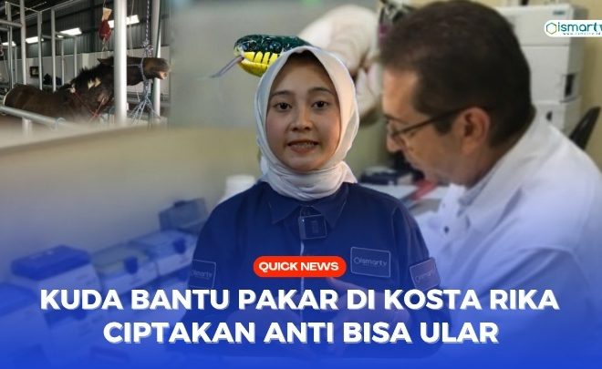 DENGAN BANTUAN KUDA, PAKAR DI KOSTA RIKA CIPTAKAN ANTI BISA ULAR