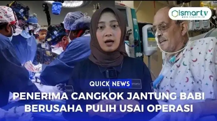 PENERIMA CANGKOK JANTUNG BABI BERUSAHA PULIH USAI OPERASI