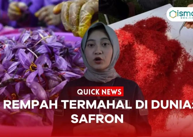 REMPAH TERMAHAL DI DUNIA: SAFRON