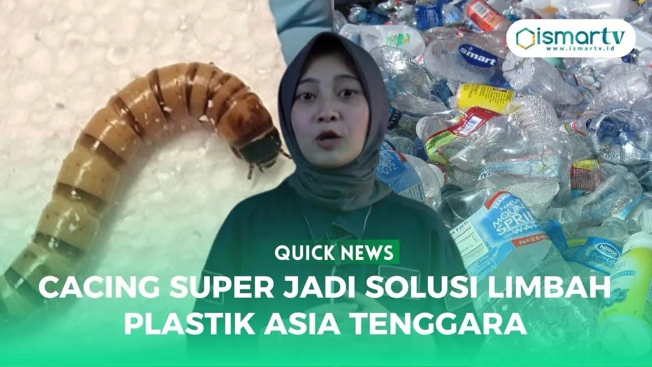 CACING SUPER JADI SOLUSI LIMBAH PLASTIK ASIA TENGGARA