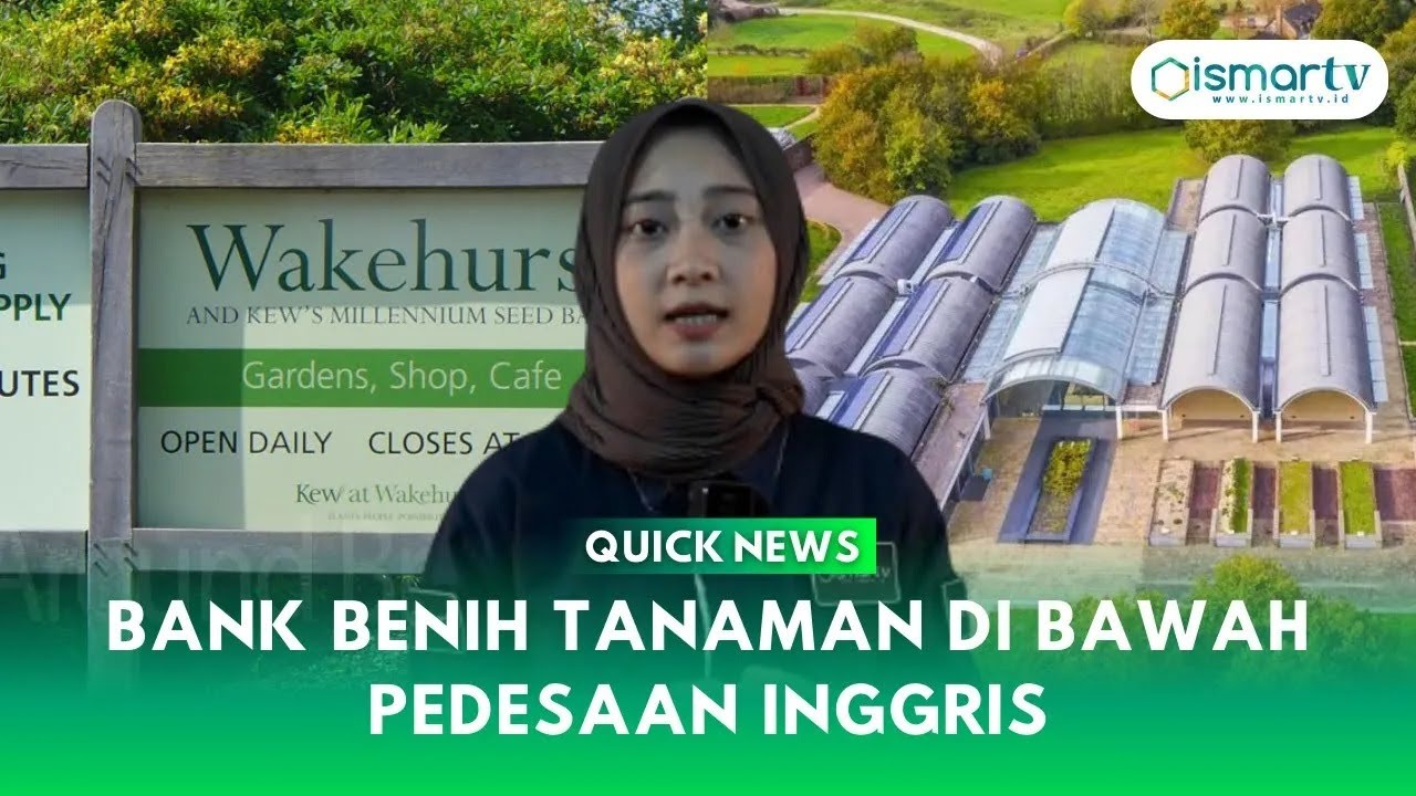 BANK BENIH TANAMAN DI BAWAH PEDESAAN INGGRIS