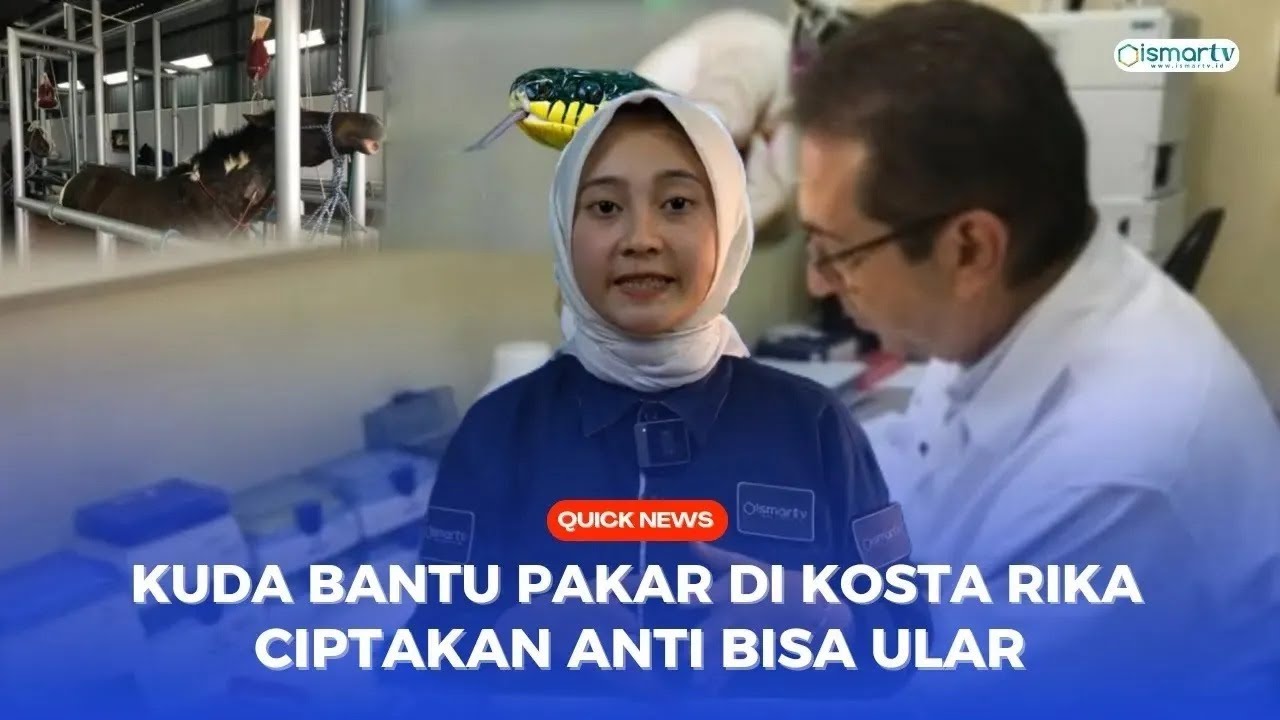 DENGAN BANTUAN KUDA PAKAR DI KOSTA RIKA CIPTAKAN ANTI BISA ULAR
