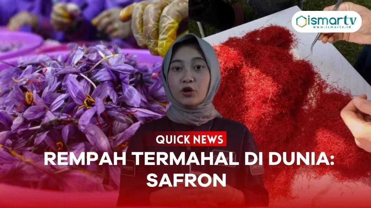 REMPAH TERMAHAL DI DUNIA SAFRON