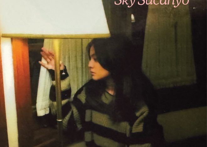 Bersama FFWD RECORDS dan MICROGRAM, SKY SUCAHYO kembali dengan “PRETTY UGLY”.