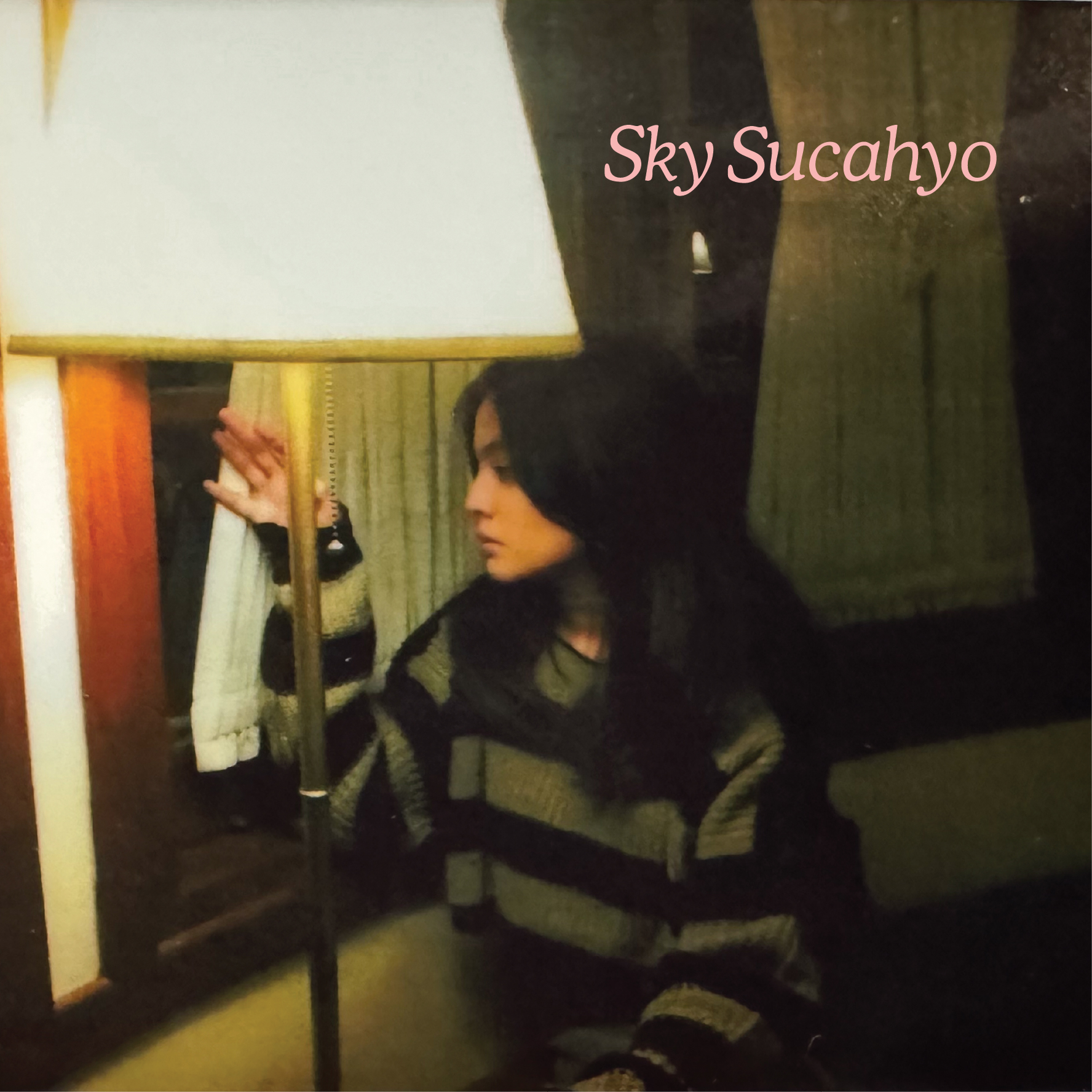 Bersama FFWD RECORDS dan MICROGRAM, SKY SUCAHYO kembali dengan “PRETTY UGLY”.