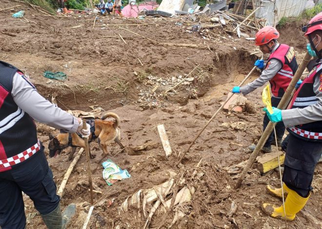 Unit Anjing Pelacak K9 Polda Jabar Terus Lakukan Penyisiran Lokasi Longsor KBB