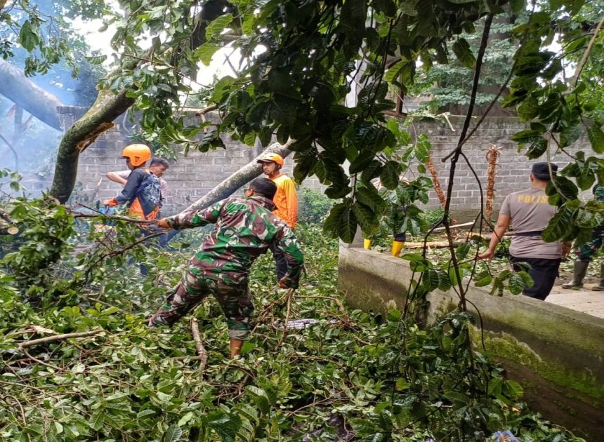 Anggota Koramil 0808/06 Srengat Bersama Warga, Polsek Dan BPBD Gotong Royong Bersihkan Pohon Tumbang Di Desa Purwokerto