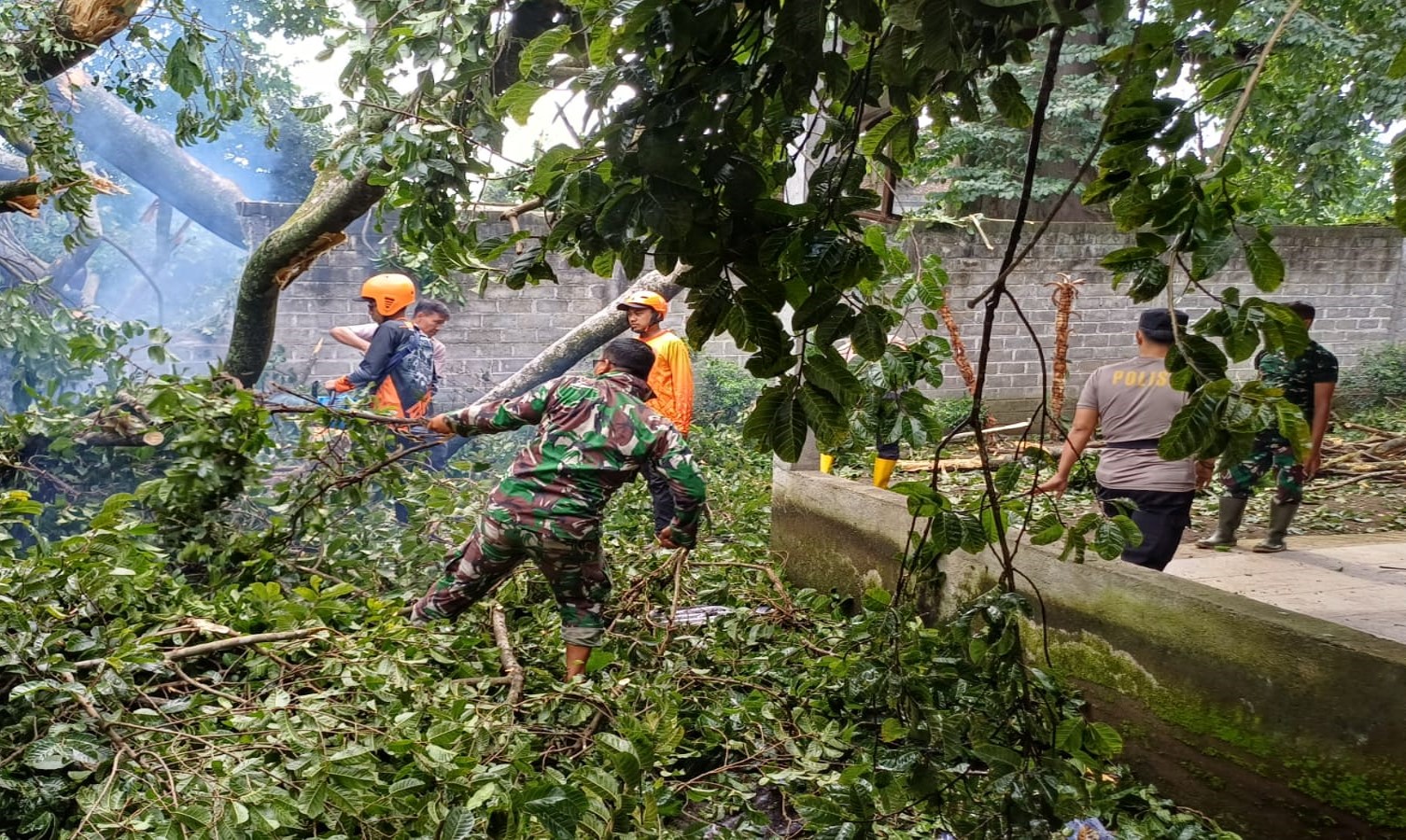 Anggota Koramil 0808/06 Srengat Bersama Warga, Polsek Dan BPBD Gotong Royong Bersihkan Pohon Tumbang Di Desa Purwokerto