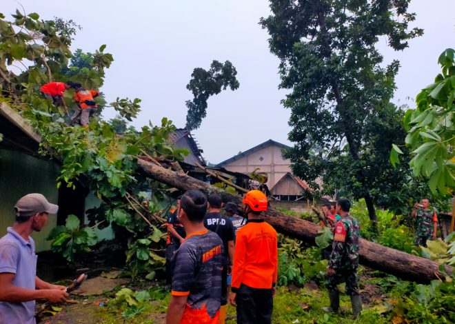 Babinsa Sigap Bantu Evakuasi Pohon Tumbang Timpa Rumah Warga